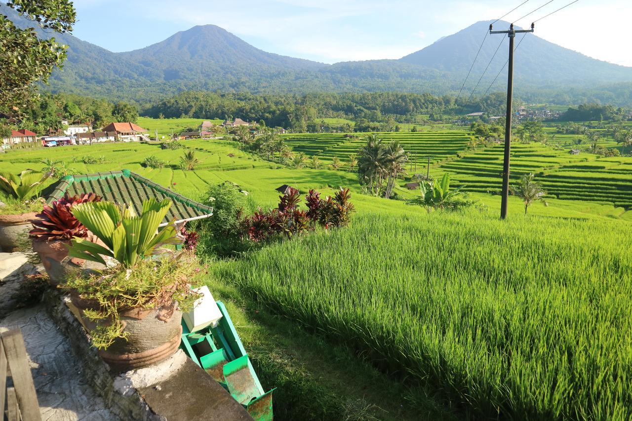 Sang Giri Mountain Tent Resort Jatiluwih Eksteriør bilde